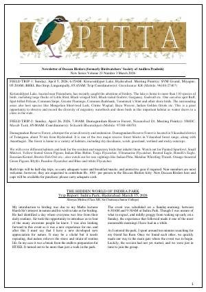 PITTA newsletter cover – March 2026