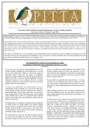 PITTA newsletter cover – April 2026