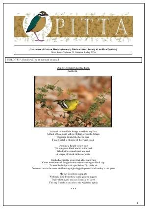 PITTA newsletter cover – May 2026