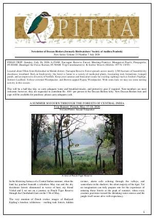 PITTA newsletter cover – July 2026