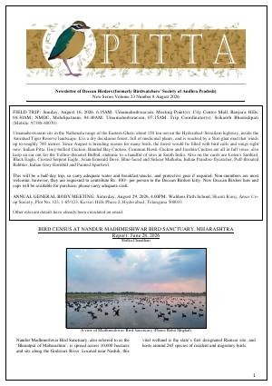 PITTA newsletter cover – August 2026